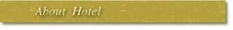 the contents of package